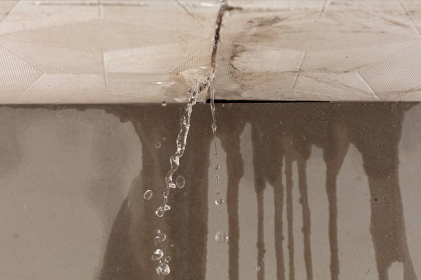 Professional Burst Pipe Cleanup technician working in Monroe, GA